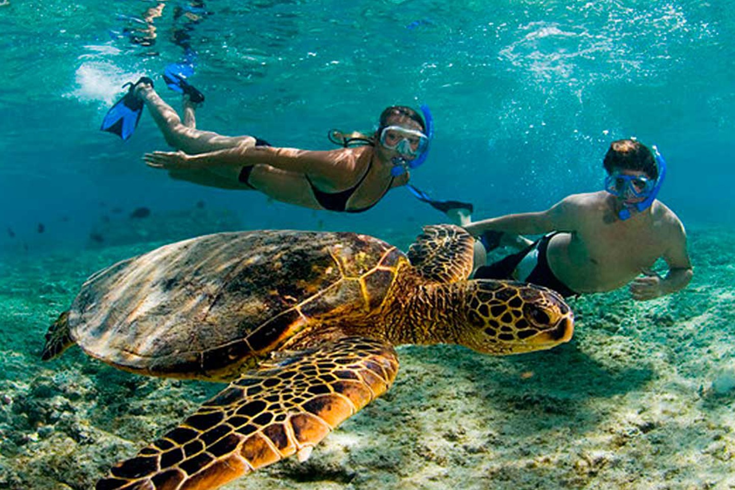 Tulum &Akumal