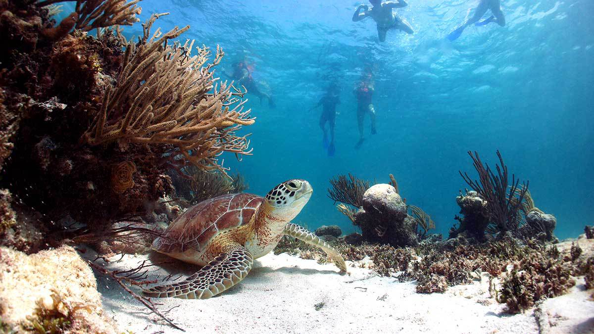Tulum &Akumal