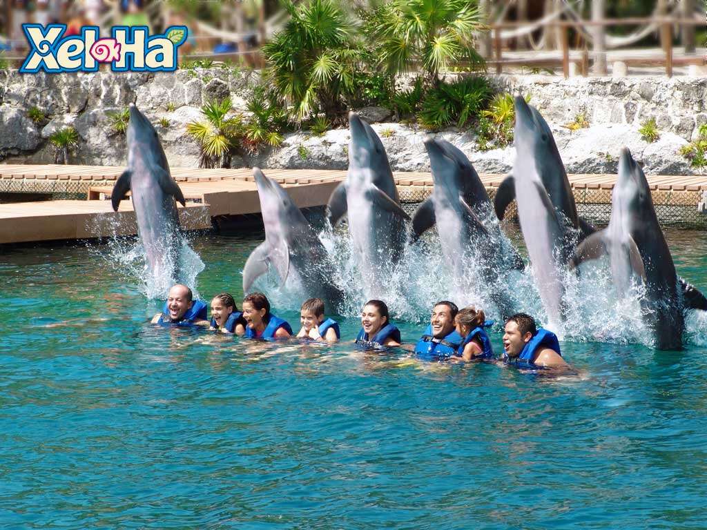 XEL-HA & SWIM WITH DOPHINS INTERAX